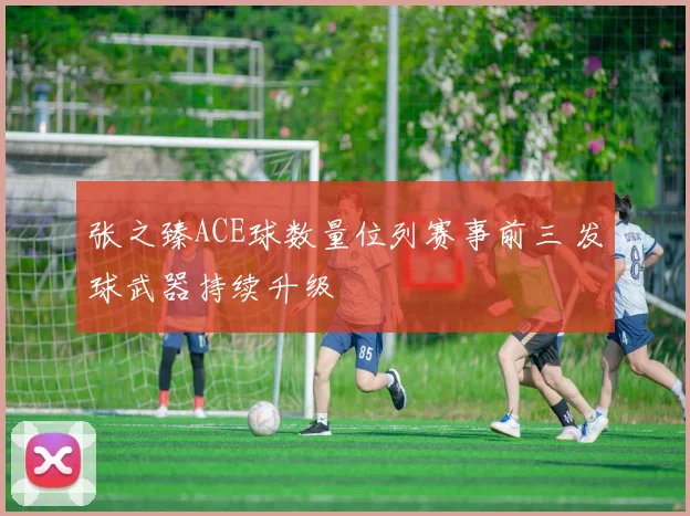 张之臻ACE球数量位列赛事前三 发球武器持续升级